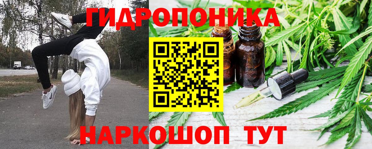 Каннабис MAZAR Качканар
